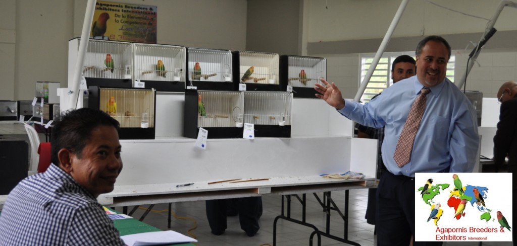 ABE Show Trujillo Alto, Puerto Rico - Judge Luis Ocasio explaining to the exhibitors and Bobby Badilla, secretary in the roseicollis Division. Courtesy Gerardo Toledo