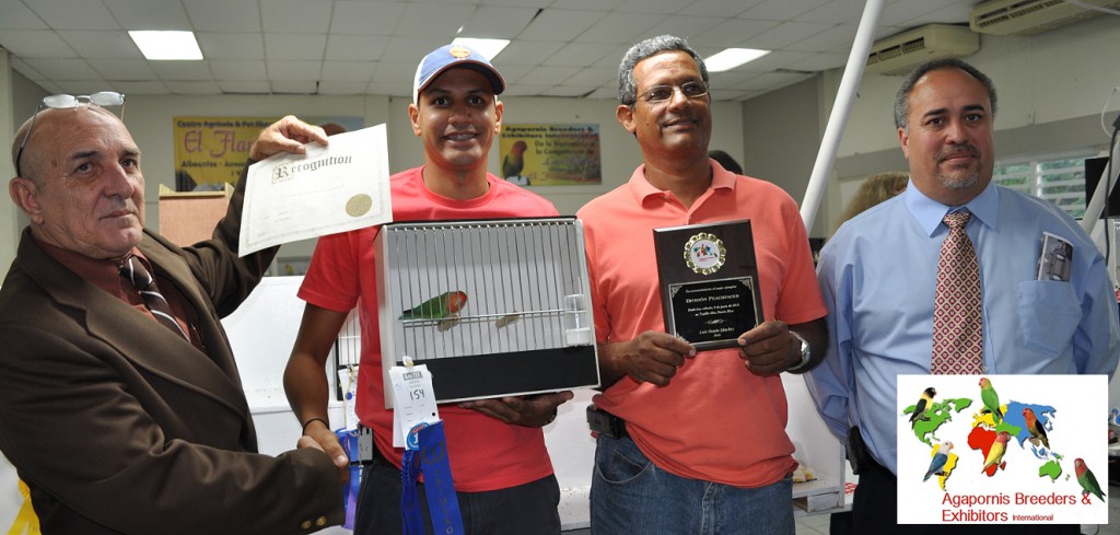 ABE Show Trujillo Alto, Puerto Rico - First Place in Roseicollis, Nelson and Elvin Sanabria. Primer lugar en Roseicollis, Nelson y Elvin Sanabria Courtesy Gerardo Toledo