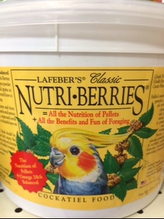 Round seed treats - can be given to lovebirds as a treat.
