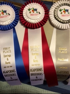 ABE custom Rosettes for Eyerings & Rares Division