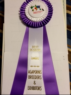 ABE custom Rosette for Best in Show